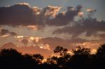 039. Antelope park zonsondergang.jpg